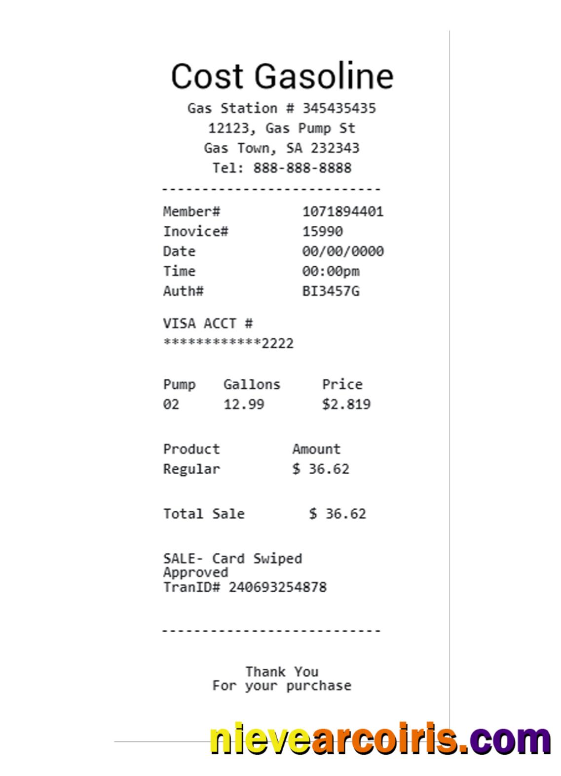 COST GASOLINE payment check template